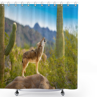 Personality  Howling Coyote Standing On Rock With Saguaro Cacti Shower Curtains