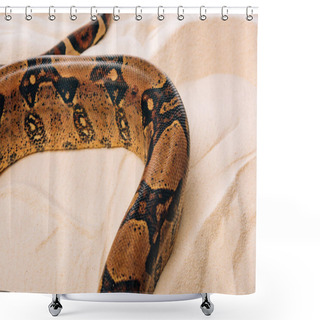 Personality  High Angle View Of Python On Textured Sand  Shower Curtains