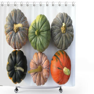 Personality  Squash And Pumpkins. Shower Curtains