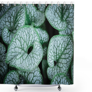 Personality  Minimalist Composition With Leaves Of Brunnera Macrophylla Shower Curtains
