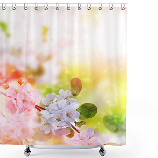 Personality  Spring Flowers Tulips On The Background Of Blue Sky With Clouds Shower Curtains
