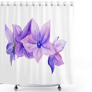 Personality  Watercolor Painting Campanula, Flowers Shower Curtains