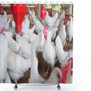 Personality  Poultry Plant. Shower Curtains