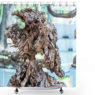 Personality  Dry Driftwood Of Coniferous Tree, Old Weathered Relief Wood Shower Curtains