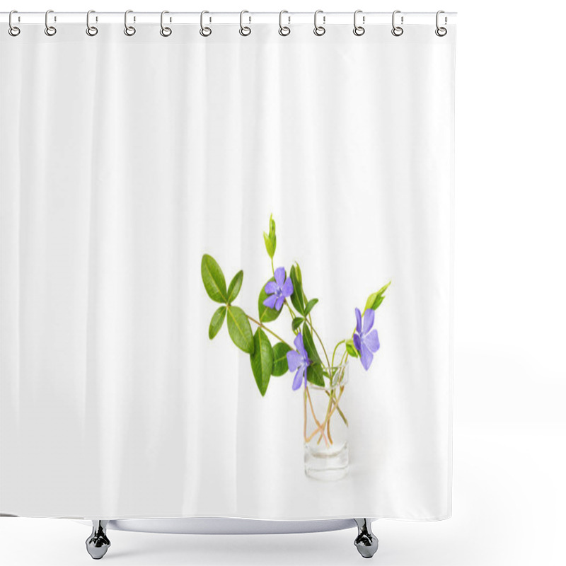 Personality  Periwinkle flower on a white isolated background. Close-up. Brig shower curtains