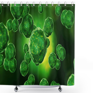 Personality  Bacteria Virus Or Germs Microorganism Cells Under Microscope. Hi Shower Curtains