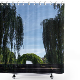 Personality  Arch Of Wild Grape On Stairs Between Willow Trees With Sky At Background  Shower Curtains