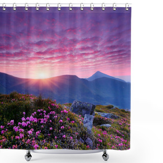 Personality  Pink Flowers In The Mountains Shower Curtains