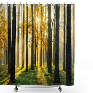Personality  Magic Forest Shower Curtains