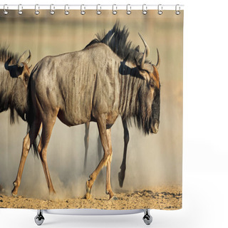 Personality  Blue Wildebeest In Dust  Shower Curtains