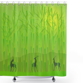 Personality  Bamboo Grove Shower Curtains