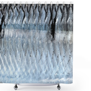 Personality  Texture Of Fish Back Background Shower Curtains