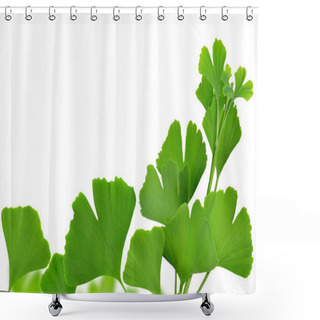 Personality  Ginkgo Biloba Leaves  Shower Curtains