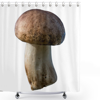 Personality  Russula Phoetens Mushroom On A White Background. Isolate Shower Curtains