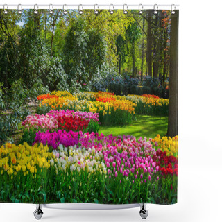 Personality  Colorful Tulips In The Keukenhof Garden, Holland Shower Curtains