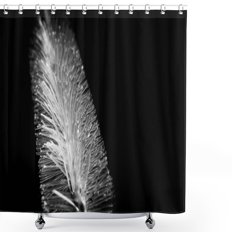 Personality  A Black And White Photo Of A Tube Brush With A Feather On A Dark Background. Still Life Photography. Shower Curtains