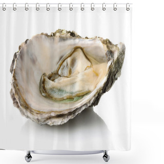Personality  Marine Sea Shell Shower Curtains