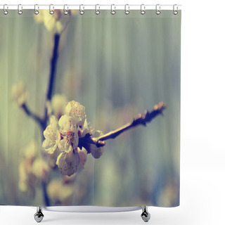 Personality  Vintage Cherry Blossom Shower Curtains