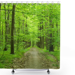 Personality  Forest Shower Curtains