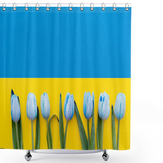 Personality  Top View Of Blue Tulips On Ukrainian Flag Shower Curtains