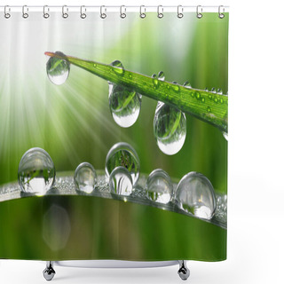 Personality  Dew Drops Shower Curtains