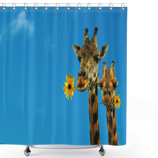 Personality  Two Lovely Giraffes On A Nice Blue Day Shower Curtains