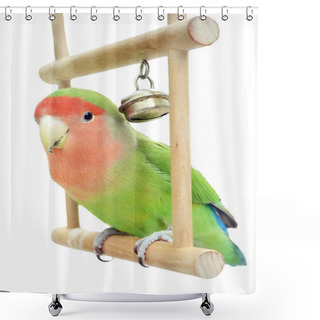 Personality  Lovebird On Swing Shower Curtains