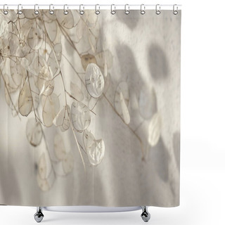 Personality  Artistic Photographs Of The Lunaria Plant, Silver Plant, Ornamental Plant, Photos With Various Shades That Give Each One A Different Personality. Shower Curtains