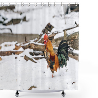 Personality  Beautiful Homemade Cock Walks In The Park On A Winter Day. Shower Curtains