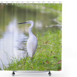 Personality  Animals In Wildlife - White Egrets. Shower Curtains