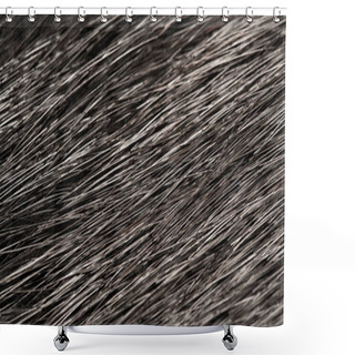 Personality  Background Texture, Decorative Ornament, Fur Of Wild Animal Waterfowl, Nutria, A Large Semiaquatic Beaverlike Rodent, Native To South America.  Shower Curtains