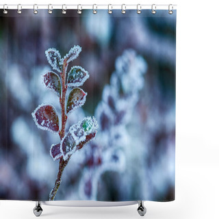 Personality  Frosty Hoarfrost Overlays The Plants In The Garden Shower Curtains