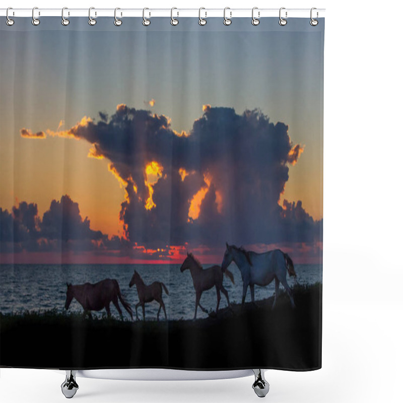 Personality  horses shower curtains
