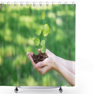 Personality  Cropped View Of Woman Holding Soil With Sprout In Hands Shower Curtains