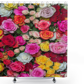 Personality   Multicolored Roses Shower Curtains