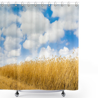 Personality  Blue Sky And Wheat Shower Curtains