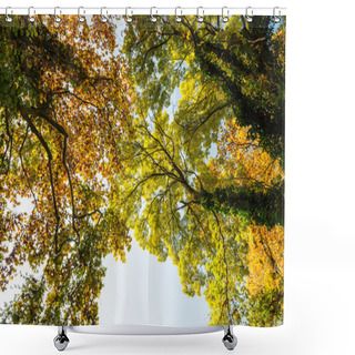 Personality  Vibrant Autumn Colors And Colorful Foliage Shower Curtains