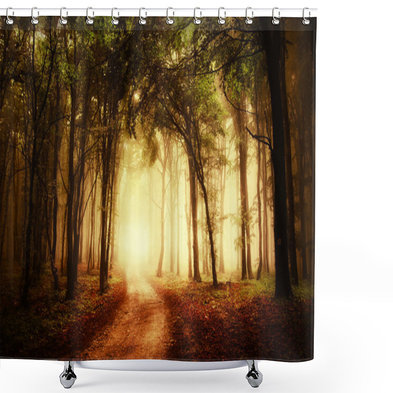 Personality  Road Through A Golden Forest At Autumn Shower Curtains