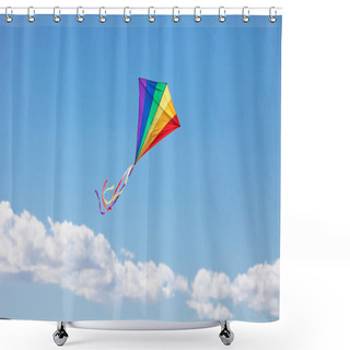 Personality  Colorful Kite Flying In The Wind Shower Curtains
