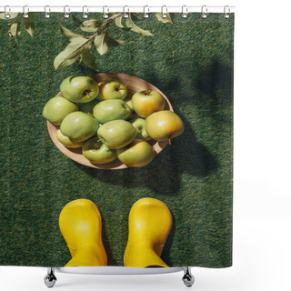 Personality  Cropped View Of Person In Rubber Boots Standing Near Wooden Bowl With Unprocessed Apples Shower Curtains