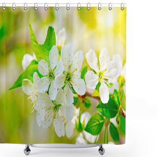 Personality  Blooming Branch Of Cherry In The Sun Shower Curtains