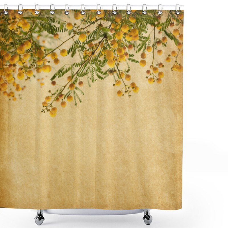 Personality  Old Paper With Yellow Flowers Of Acacia. Shower Curtains