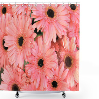 Personality  Gerber Flowers Shower Curtains
