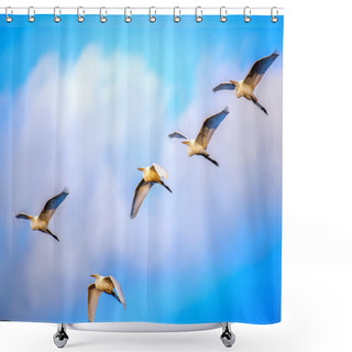 Personality  Flock Of Great Egrets Flying In Clouds Shower Curtains