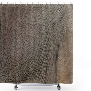 Personality  Elephant Skin Shower Curtains