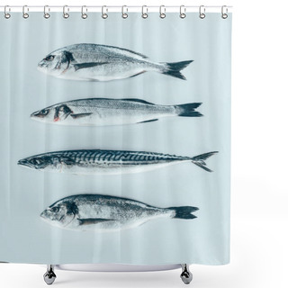 Personality  Top View Of Assorted Uncooked Sea Fish Isolated On Grey   Shower Curtains