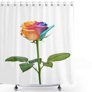 Personality  Rainbow Rose Flower Shower Curtains