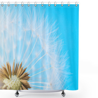 Personality  Dandelion Abstract Background. White Blowball Over Blue Sky Shower Curtains