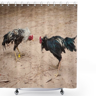Personality  Fighter Cocks Shower Curtains
