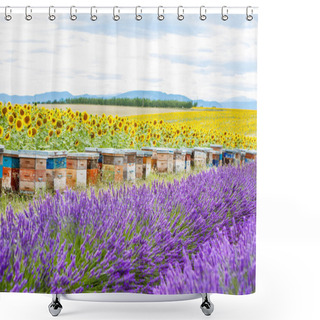 Personality  Bee Hives On Lavender Fields, Near Valensole, Provence.  Shower Curtains